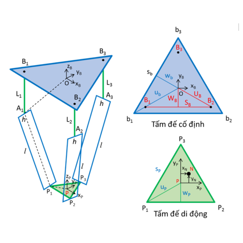 động hoc robot delta