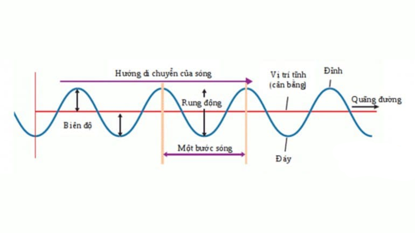 Biên độ rung là gì?
