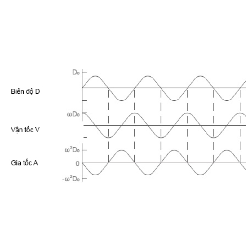 Biên độ rung là gì? Tìm hiểu vai trò trong máy cấp liệu rung và cách điều chỉnh 2 biên độ rung