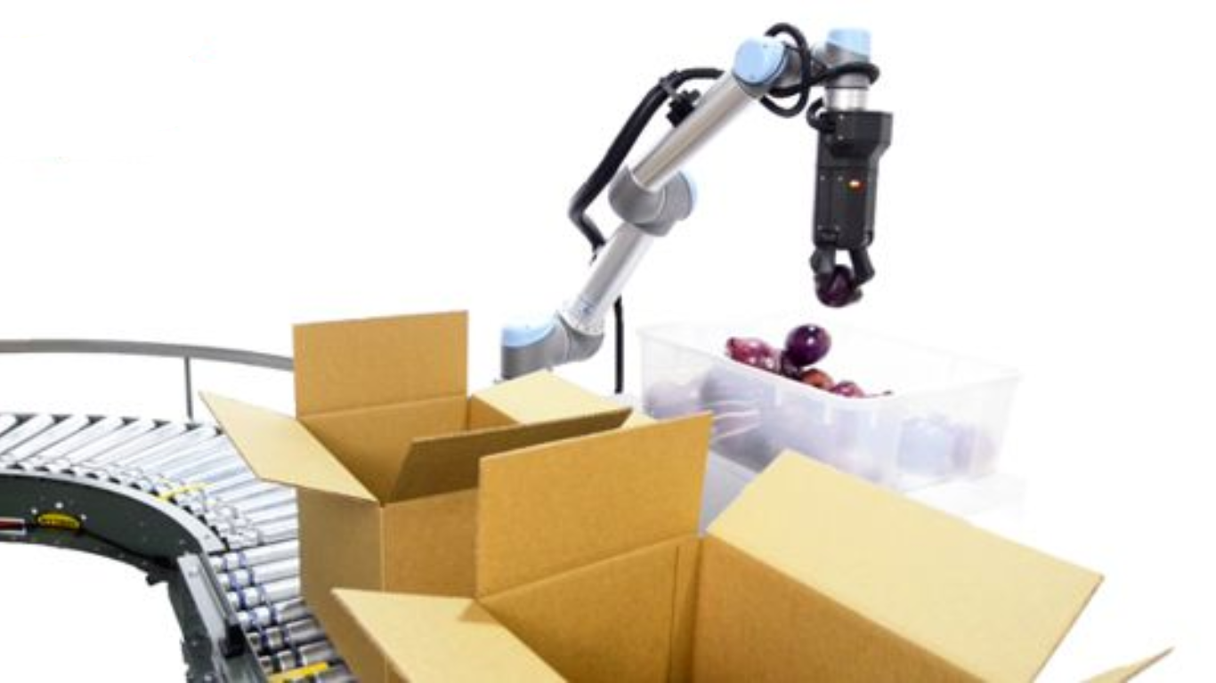 Hệ thống gắp và đặt: Xương sống của lắp ráp tự động tốc độ cao 3 Lợi ích chiến lược và tối ưu hóa sản xuất