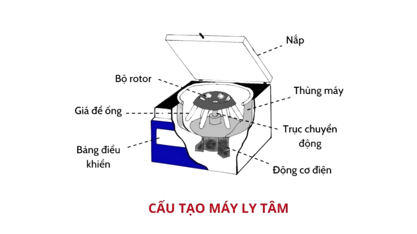 Nguyên lý máy cấp liệu ly tâm: Phân tích cơ chế 3 giai đoạn đạt tốc độ vô địch 1 Cấu tạo và thành phần tham gia nguyên lý