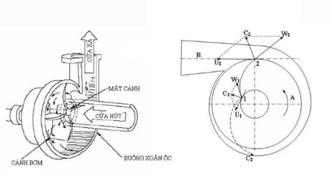 Cấu tạo Centrifugal Feeder: Phân tích 3 hệ thống chức năng của máy cấp phôi tốc độ cao 2 Hệ thống chứa phôi và vận chuyển sơ bộ
