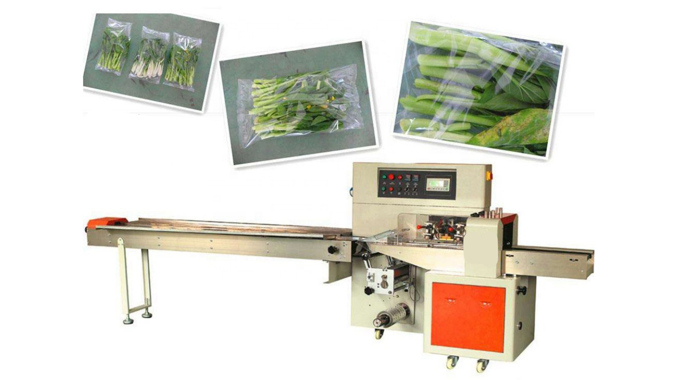 Đặc điểm ưu việt của máy đóng gói SWOER