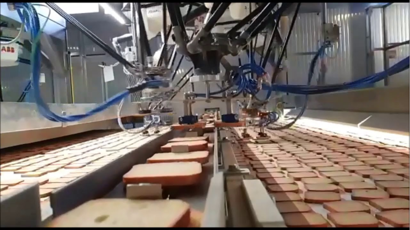 Những lưu ý khi lựa chọn Robot Delta cho ngành bánh kẹo