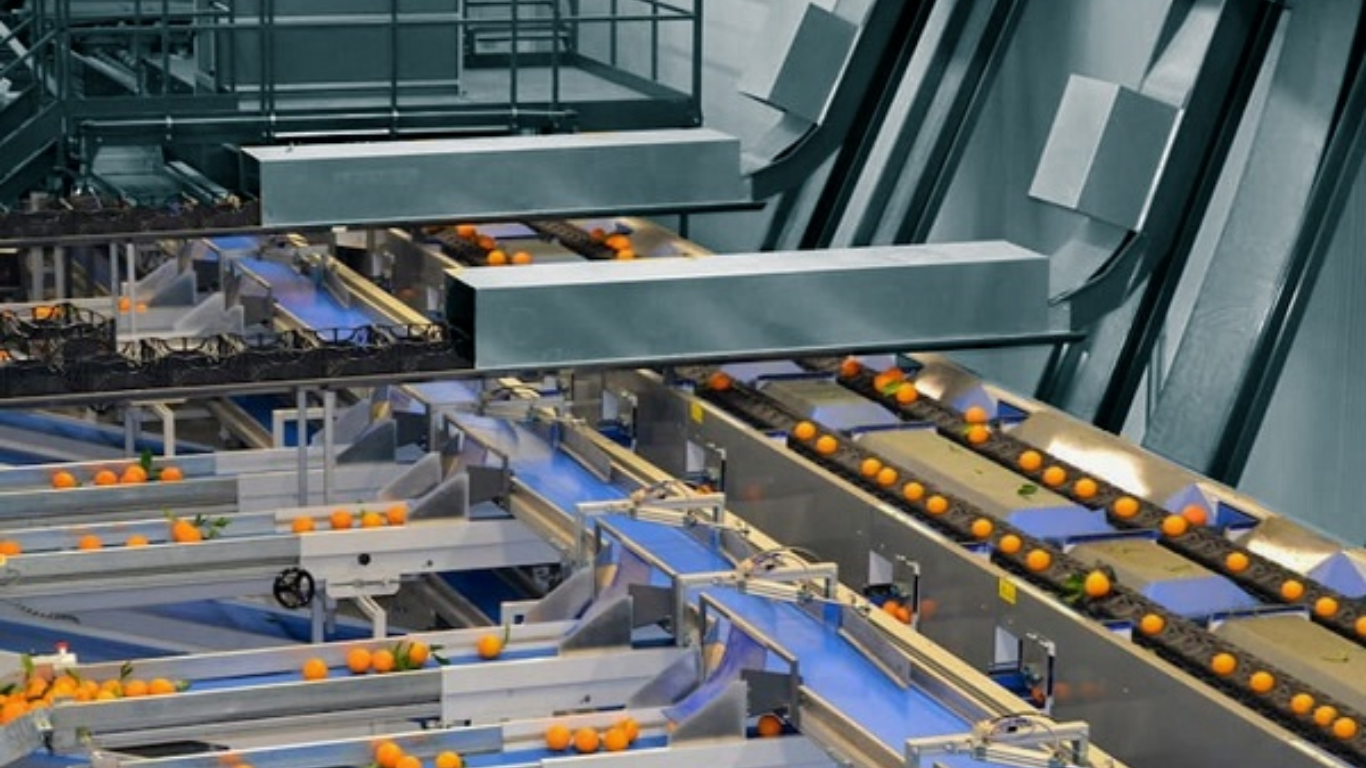 Robot phân loại sản phẩm theo màu sắc: Bứt phá năng suất 2026 1 Robot phân loại sản phẩm theo màu sắc là gì?