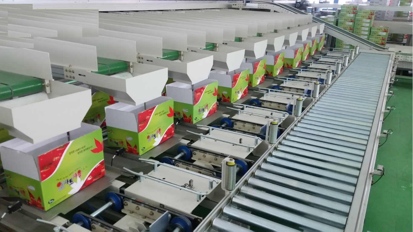 Ứng dụng thực tế của hệ thống phân loại tự động