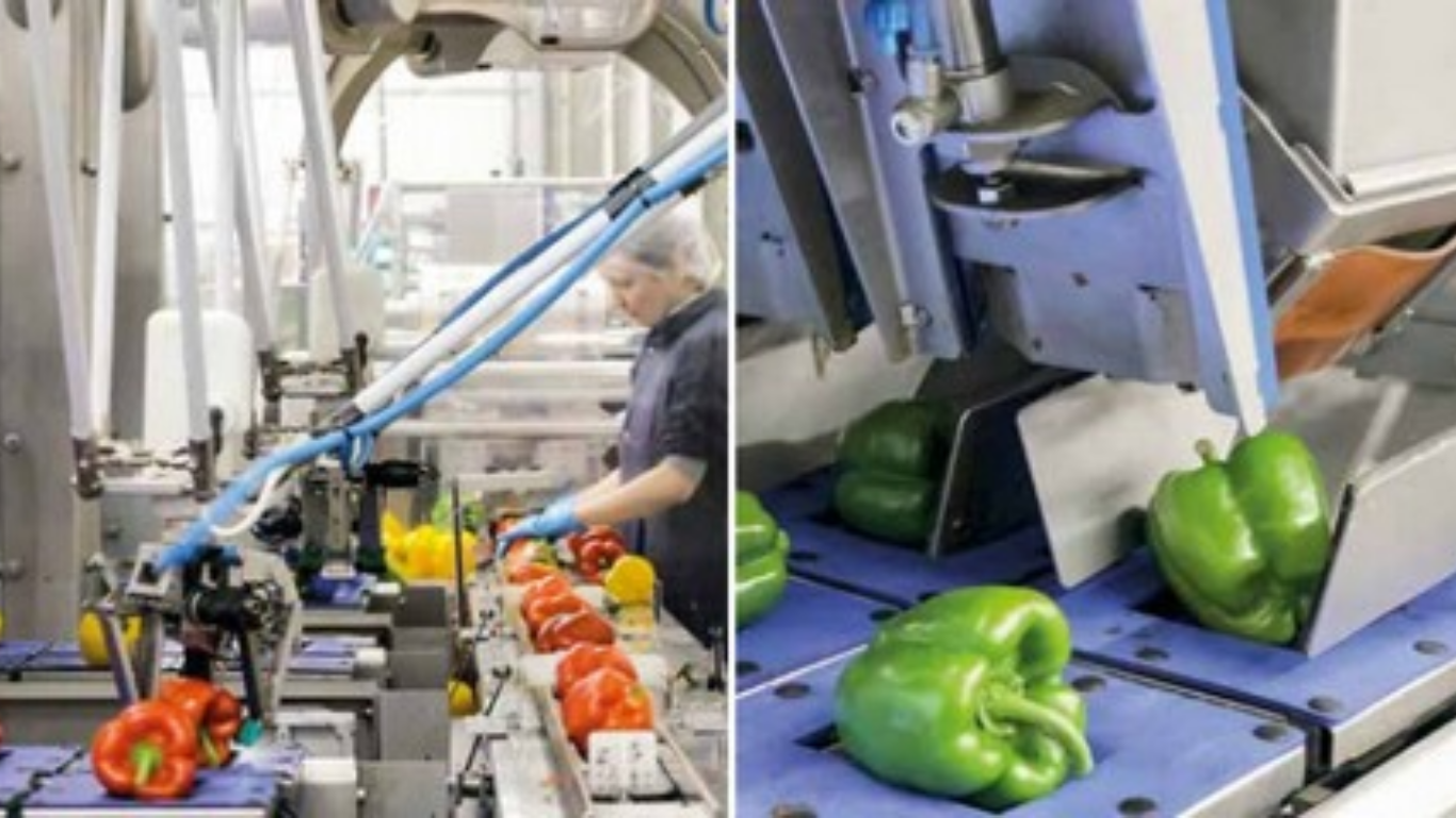 Quy trình lắp đặt Robot Delta của SWOER cho khách hàng Hà Nội