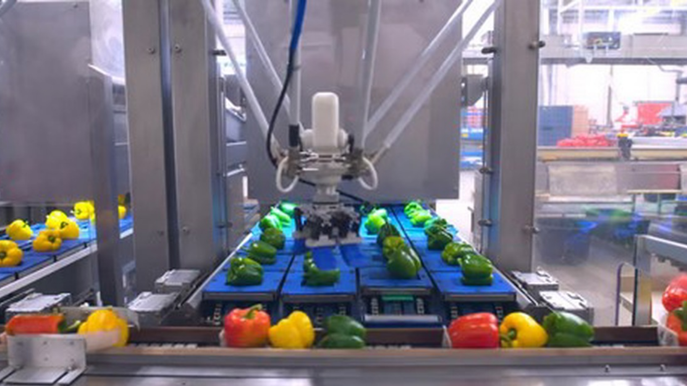 Ứng dụng thực tế của Robot Delta tại các KCN miền Bắc