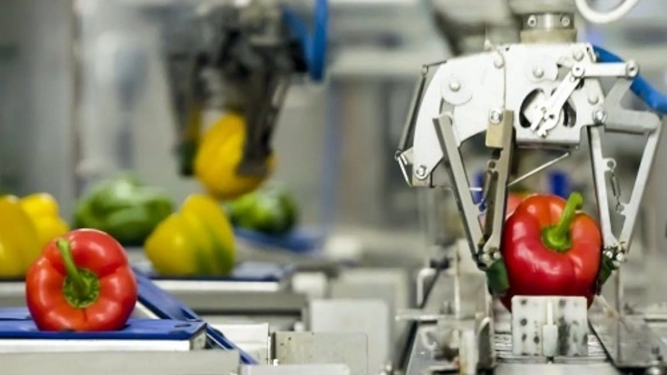 Khắc phục Robot Delta bị rung lắc mạnh khung đỡ chuẩn kỹ thuật 3 Bí quyết cấp liệu ổn định giúp Robot Delta vận hành êm ái