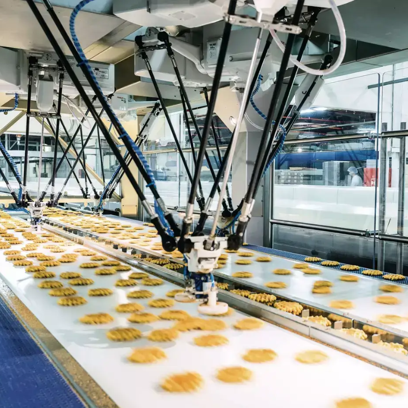 Giảm hao hụt nguyên liệu đóng gói nhờ Robot Nhện
