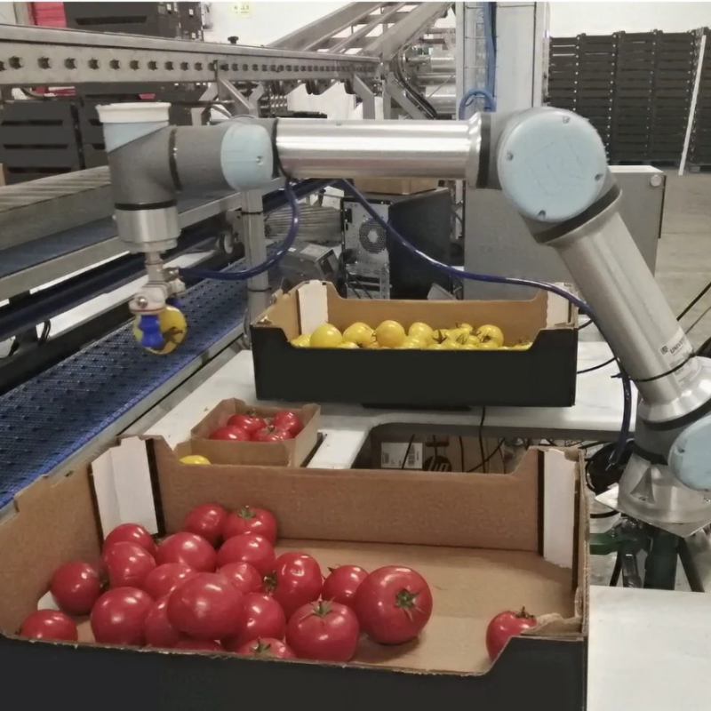Robot Delta phân loại sản phẩm theo màu sắc thế nào để đạt 150 phôi/phút? 2 Robot Delta phân loại sản phẩm theo màu sắc