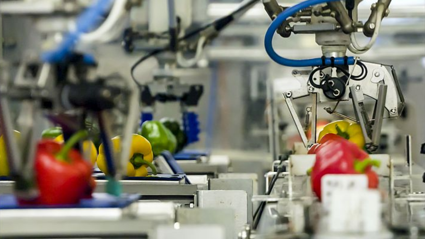 Robot Delta phân loại sản phẩm theo màu sắc thế nào để đạt 150 phôi/phút? 2 Thông số năng suất thực tế khi Robot Nhện phân loại màu sắc